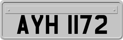 AYH1172