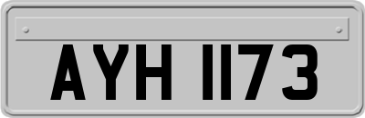 AYH1173