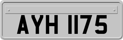AYH1175