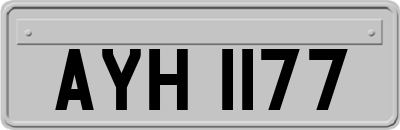 AYH1177