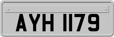 AYH1179