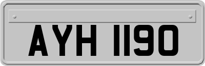 AYH1190