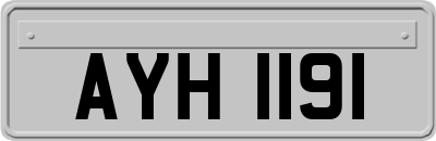 AYH1191