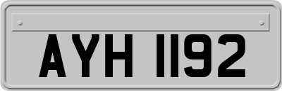 AYH1192