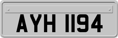 AYH1194