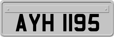 AYH1195