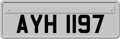 AYH1197