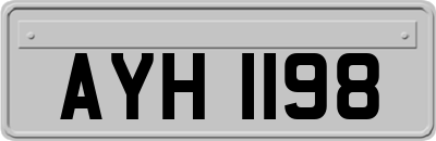 AYH1198