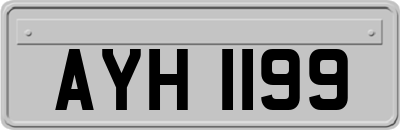 AYH1199