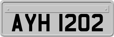 AYH1202