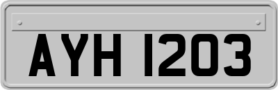 AYH1203