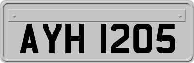 AYH1205
