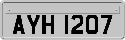 AYH1207