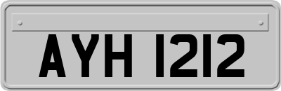 AYH1212