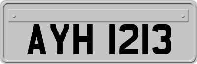 AYH1213