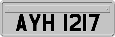AYH1217
