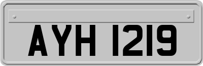 AYH1219
