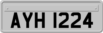 AYH1224