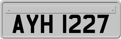 AYH1227