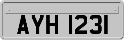 AYH1231