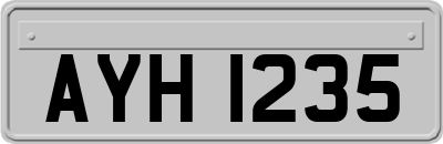 AYH1235