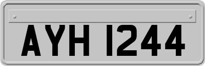 AYH1244