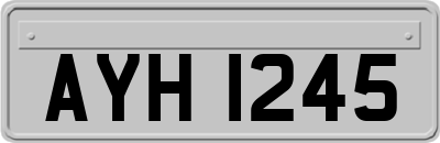 AYH1245