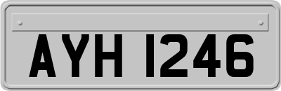 AYH1246