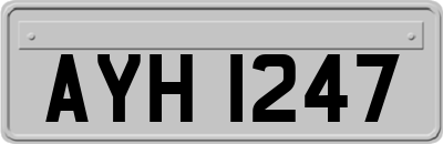AYH1247