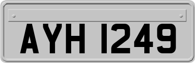 AYH1249