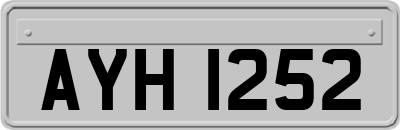 AYH1252