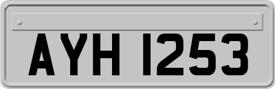 AYH1253