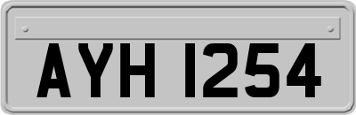 AYH1254