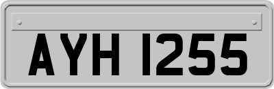 AYH1255