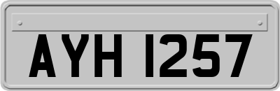 AYH1257