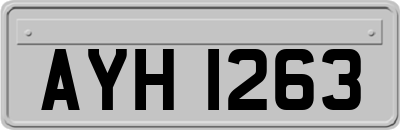 AYH1263