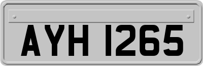 AYH1265