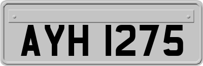 AYH1275