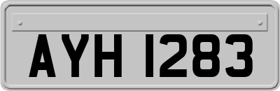AYH1283