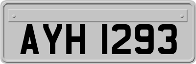 AYH1293