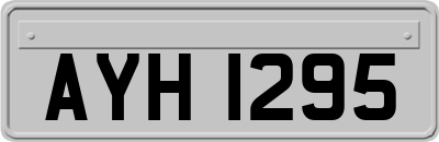 AYH1295