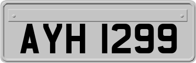 AYH1299