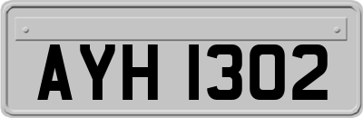AYH1302