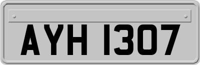 AYH1307