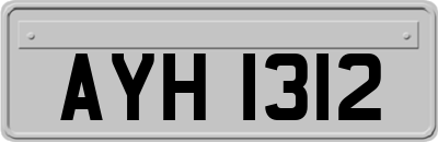 AYH1312