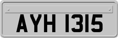 AYH1315