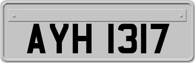 AYH1317