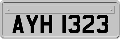 AYH1323