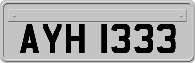AYH1333