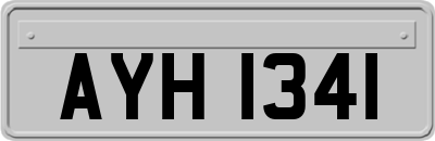 AYH1341